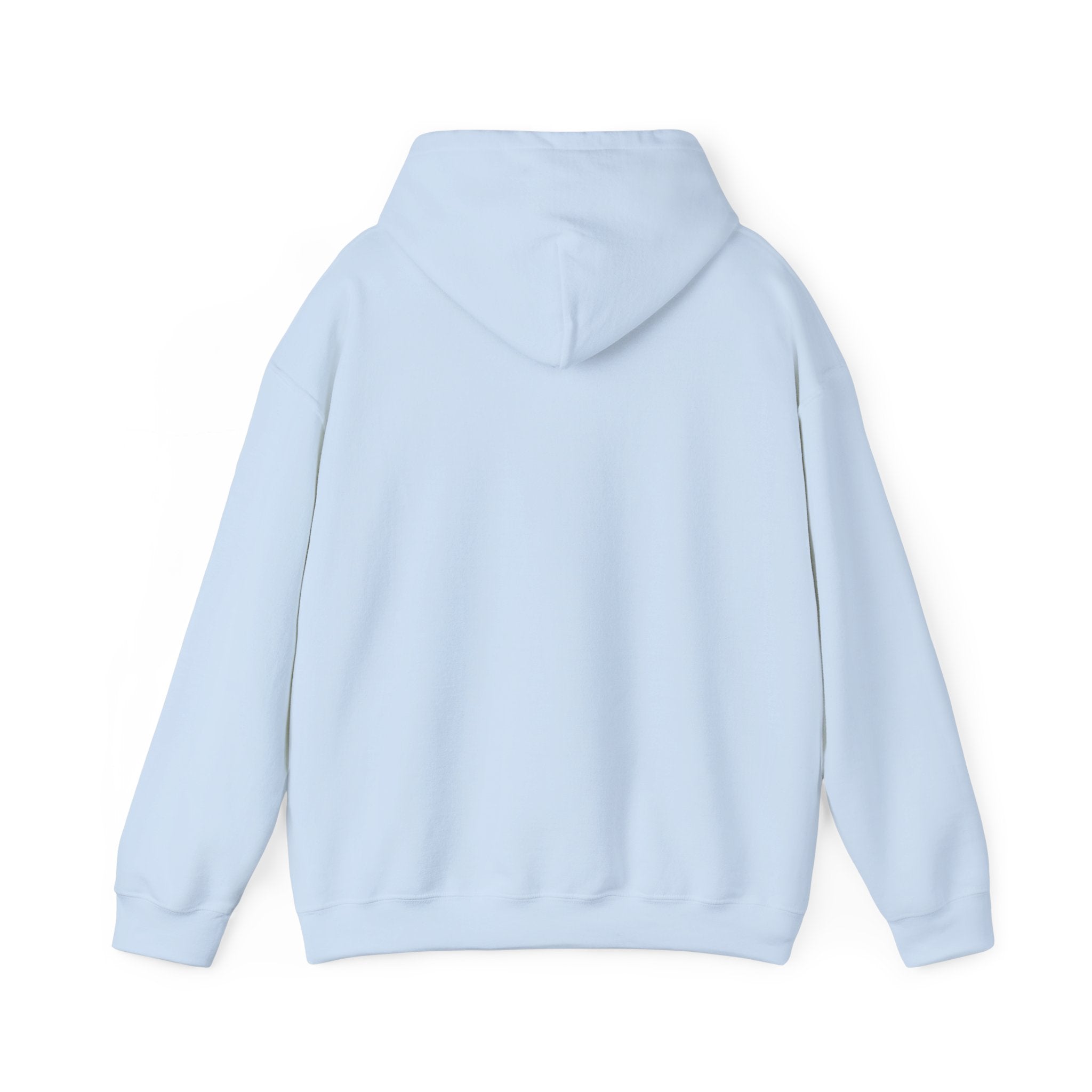 NGGT Logo Hoodie - Minimal Teal Brand Pullover