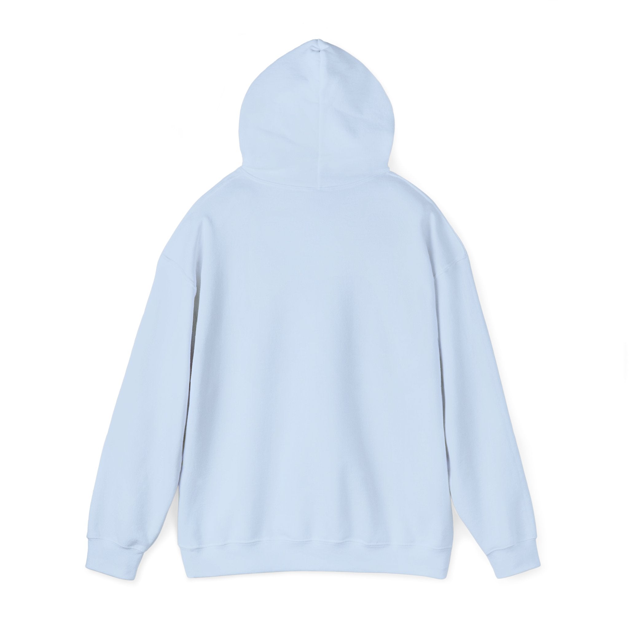 NGGT Logo Hoodie - Minimal Teal Brand Pullover