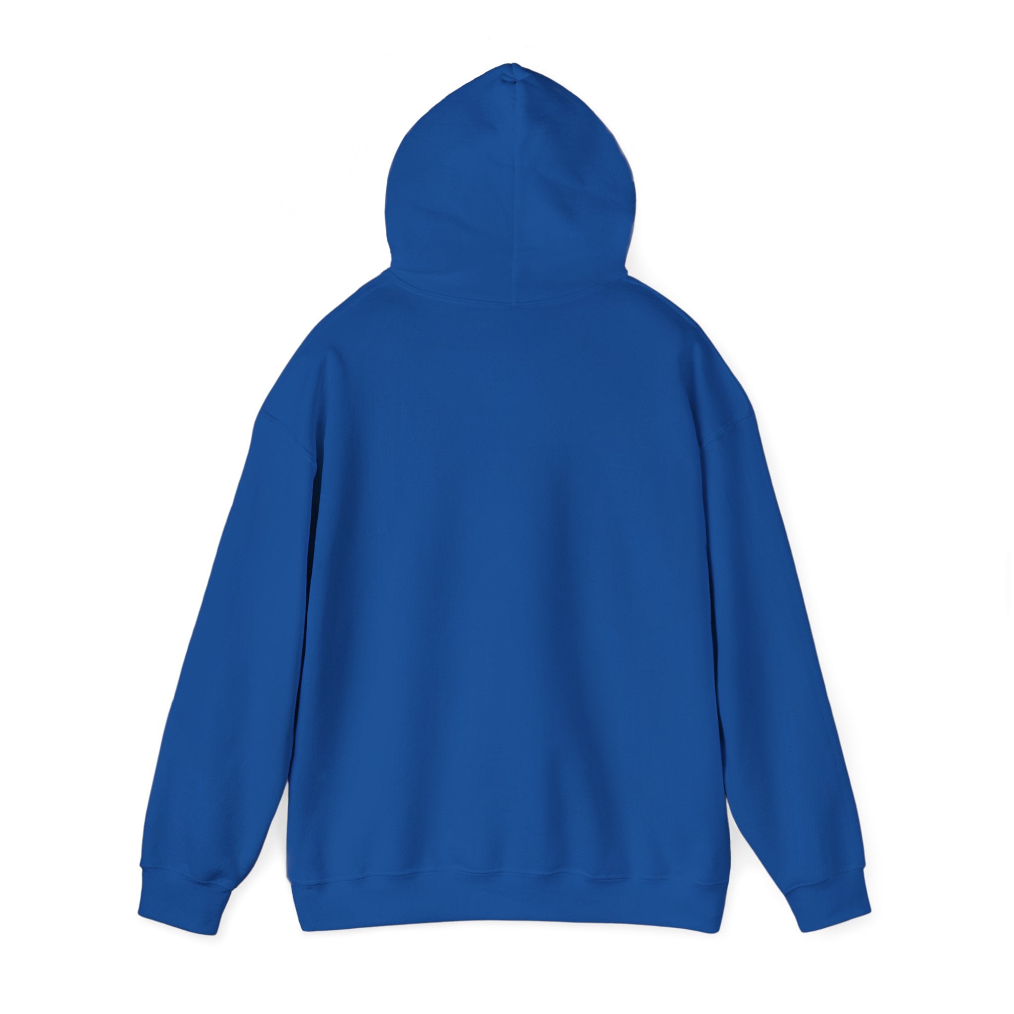 NGGT Logo Hoodie - Minimal Teal Brand Pullover