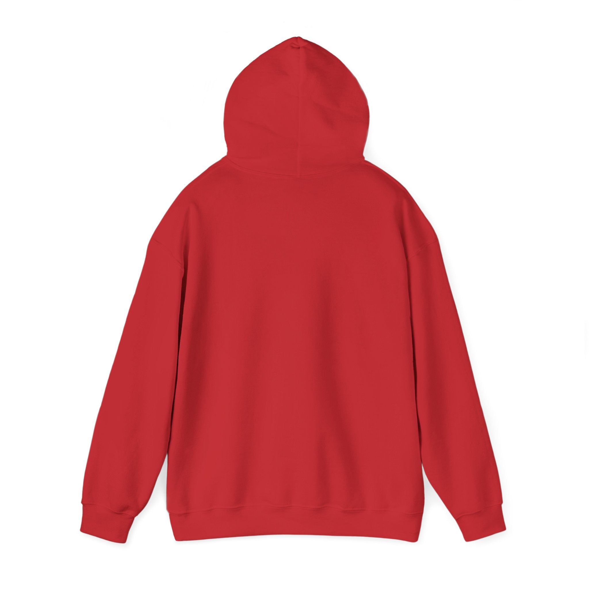 NGGT Logo Hoodie - Minimal Teal Brand Pullover