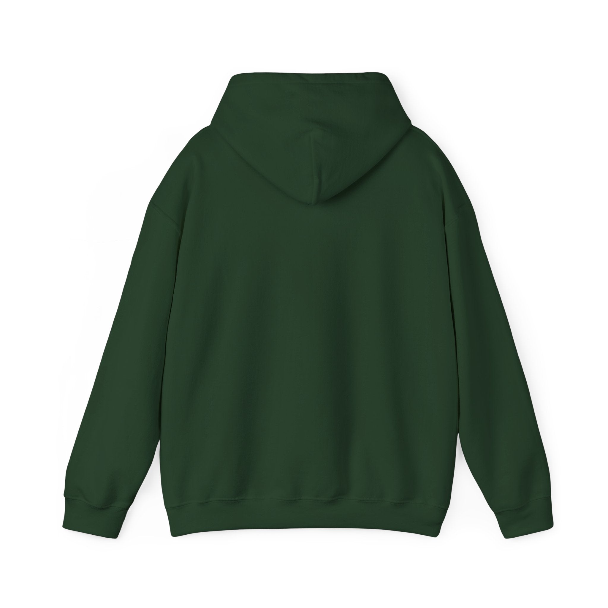 NGGT Logo Hoodie - Minimal Teal Brand Pullover