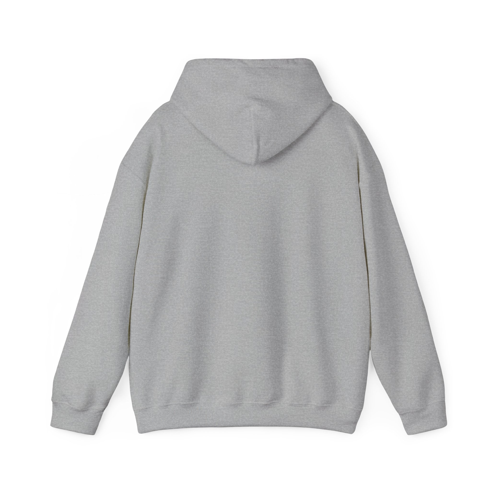 NGGT Logo Hoodie - Minimal Teal Brand Pullover