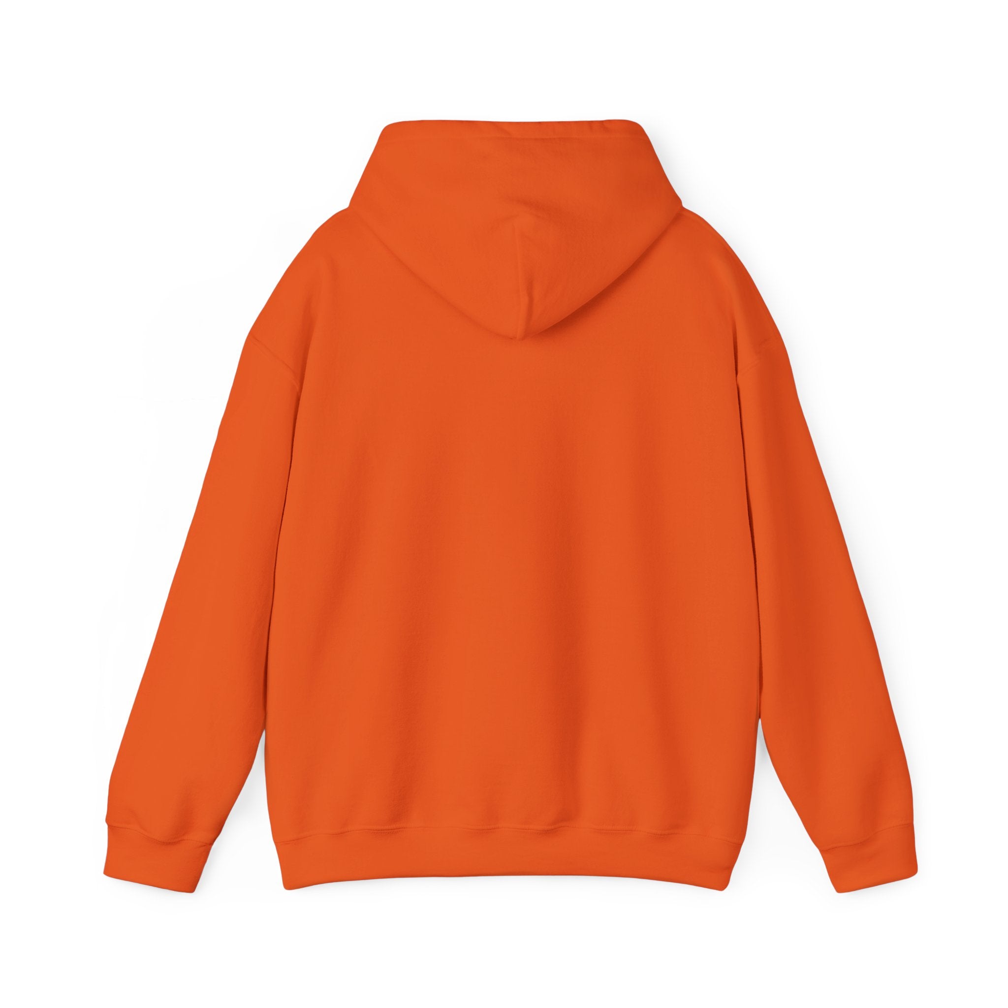 NGGT Logo Hoodie - Minimal Teal Brand Pullover