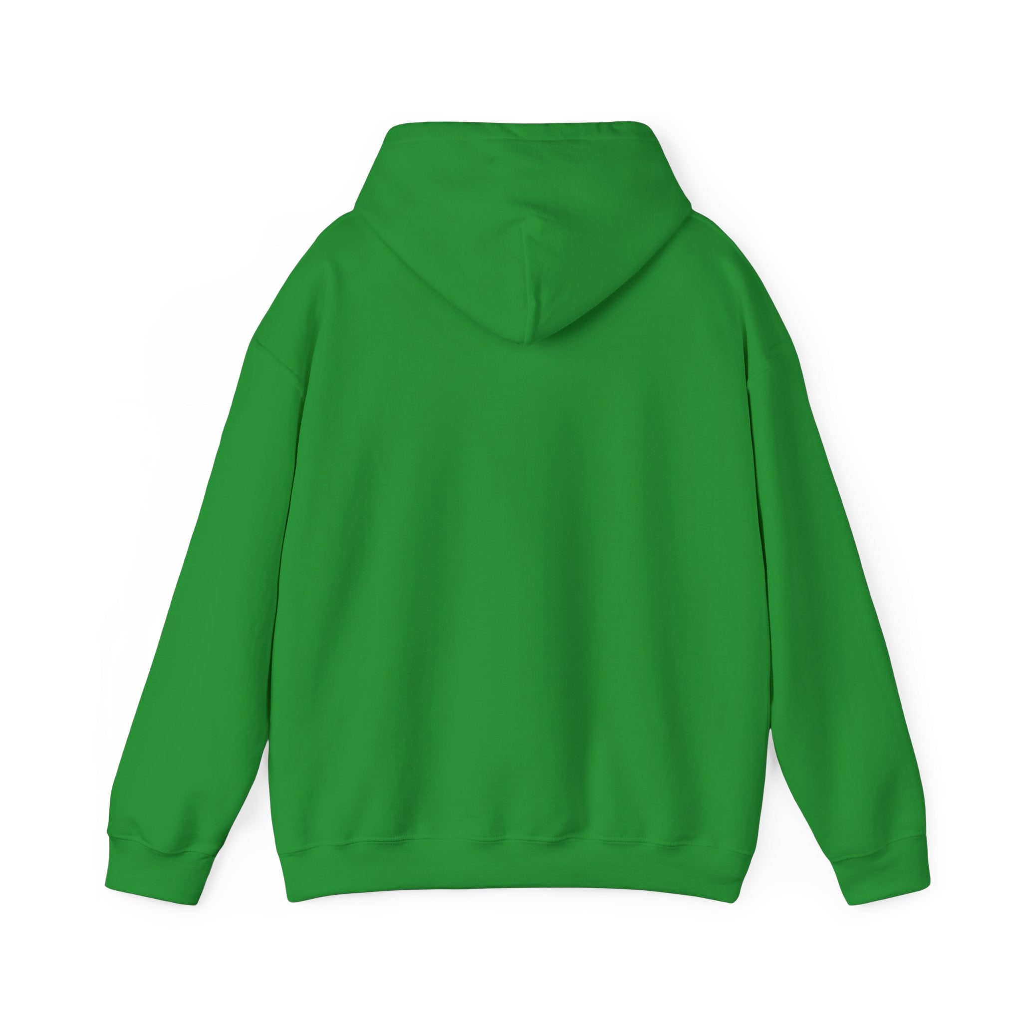 NGGT Logo Hoodie - Minimal Teal Brand Pullover