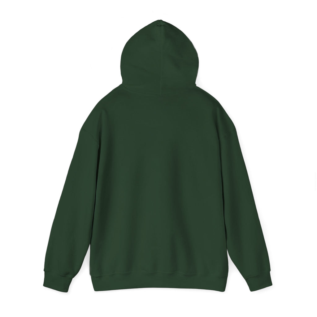 NGGT Logo Hoodie - Minimal Teal Brand Pullover